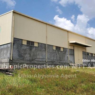 15000sq.m warehouse for rent at Gelan 