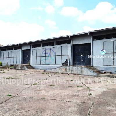 1500m² warehouse for rent at Kality 