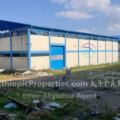 20000m² warehouse for rent at Ashewa-Meda 