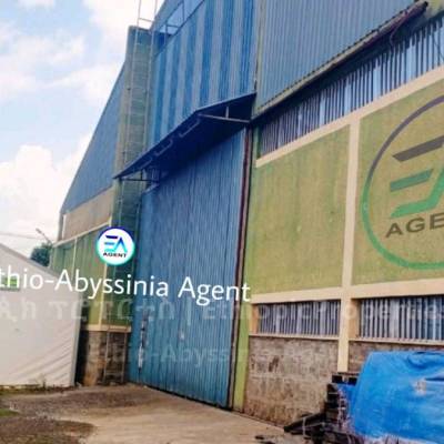 3500sqm warehouse for rent at Kality 