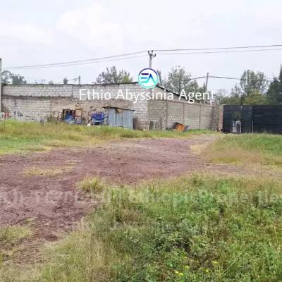 Above 1000m²m² warehouse for rent at Ayer-Tena 